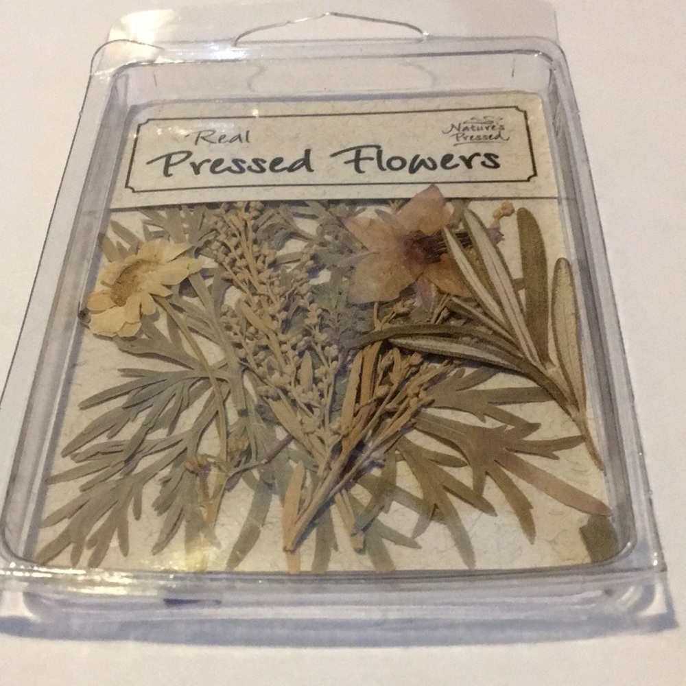 Crafting; Real Pressed Flowers